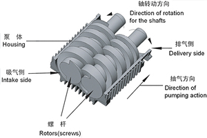 干式螺桿真空泵工作原理