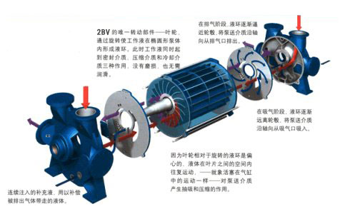 水環(huán)泵工作原理